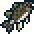 バス