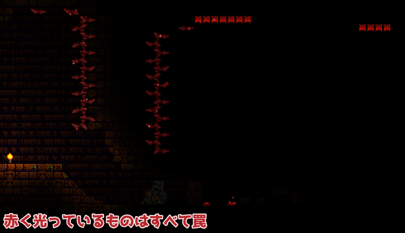 ジャングル寺院を探索